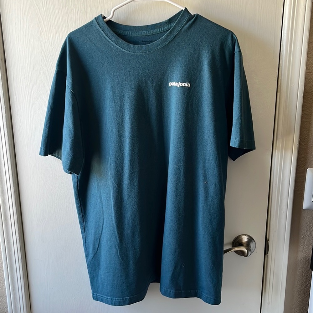 Patagonia T -shirt